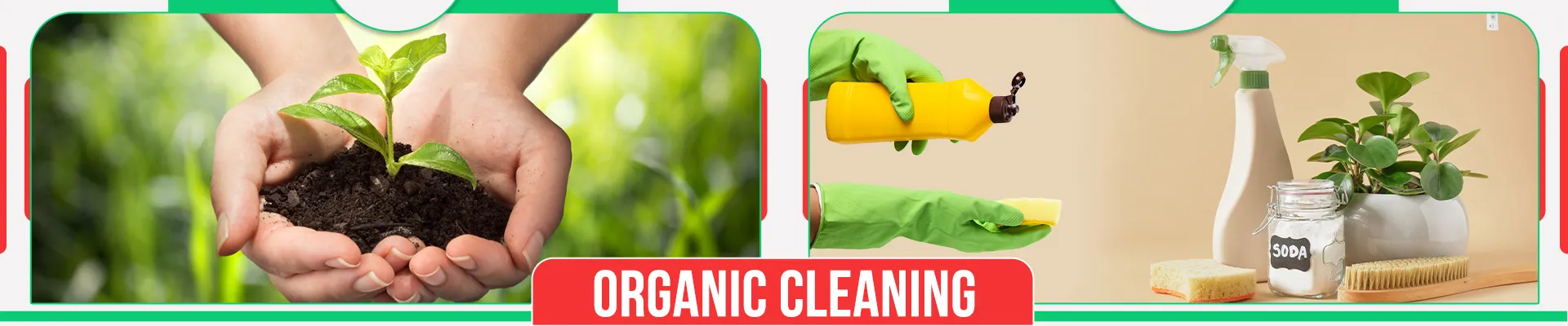 carpet cleaners in Brooklyn, carpet cleaning in Brooklyn, carpet cleaning bkln, carpet cleaners in brooklyn,  commercial carpet cleaning, commercial carpet cleaning in brooklyn,carpet cleaning in brooklyn,  brooklyn rug cleaners, rug cleaning services in brooklyn, same day carpet cleaning, same day rug cleaning