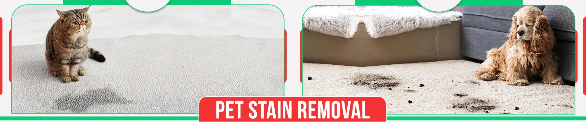 carpet cleaners in Brooklyn, carpet cleaning in Brooklyn, carpet cleaning bkln, carpet cleaners in brooklyn,  commercial carpet cleaning, commercial carpet cleaning in brooklyn,carpet cleaning in brooklyn,  brooklyn rug cleaners, rug cleaning services in brooklyn, same day carpet cleaning, same day rug cleaning