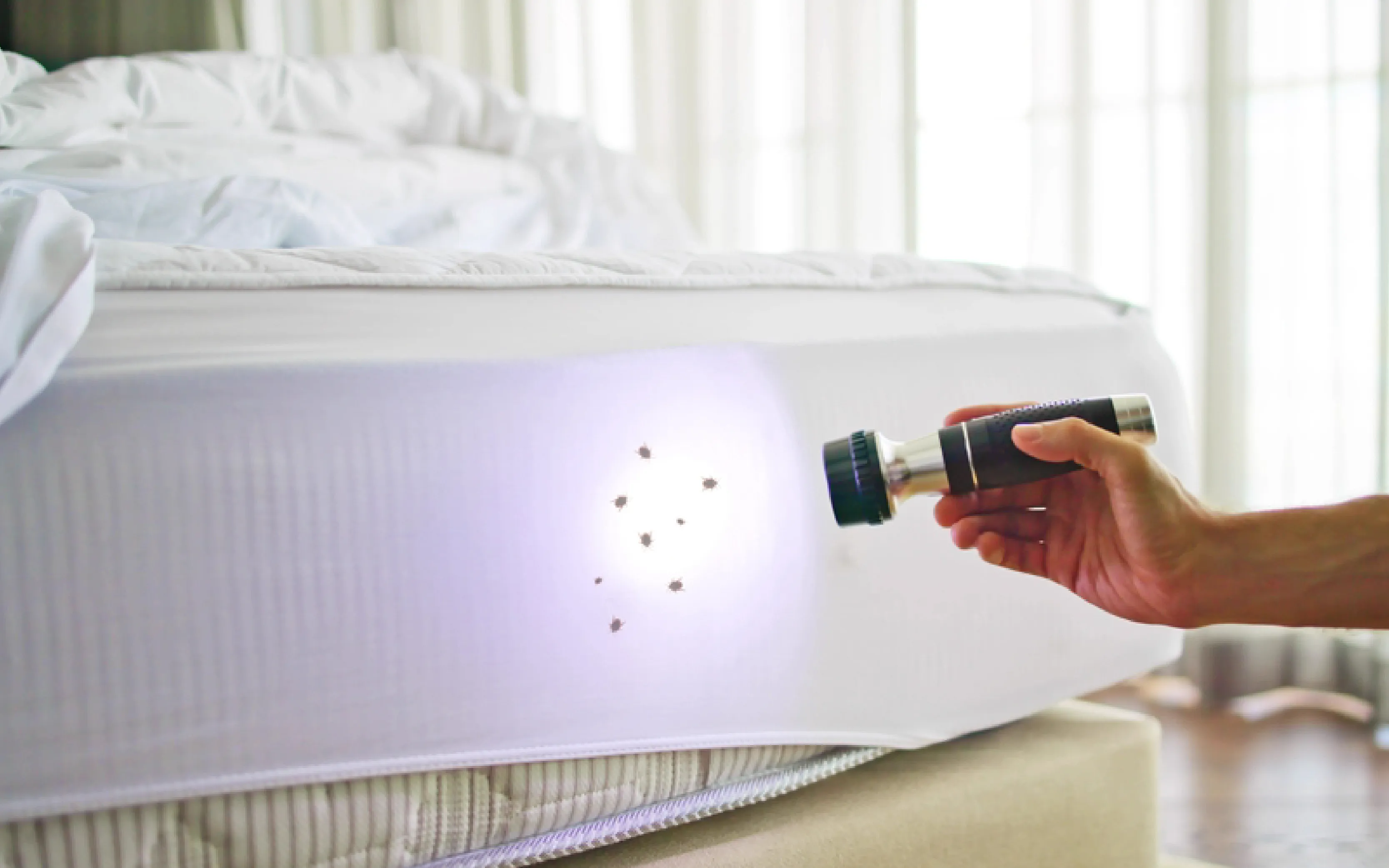 carpet cleaners in Brooklyn, carpet cleaning in Brooklyn, carpet cleaning bkln, carpet cleaners in brooklyn,  commercial carpet cleaning, commercial carpet cleaning in brooklyn,carpet cleaning in brooklyn,  brooklyn rug cleaners, rug cleaning services in brooklyn, same day carpet cleaning, same day rug cleaning